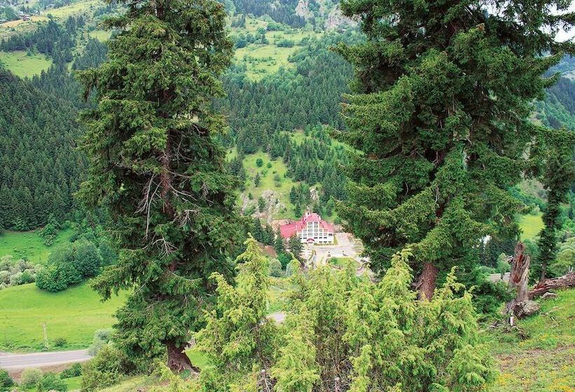 Отель Green Valley Savsat
