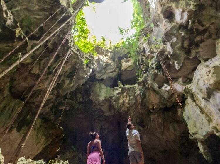 酒店 Hacienda Cocuyo