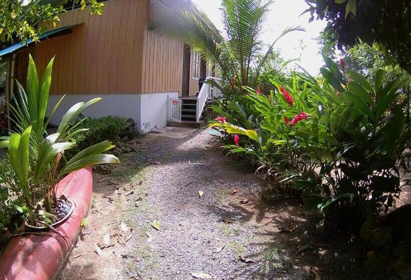 酒店 Hospedaje Yarisnori