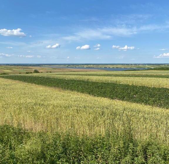 בית מלון כפרי Olimp Soup&bed