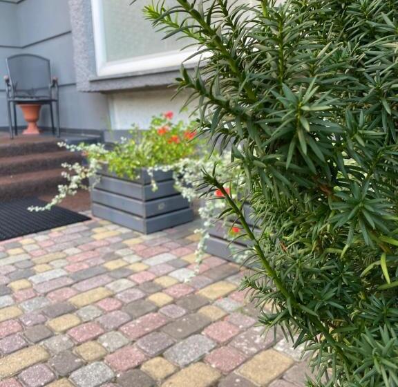 בית מלון כפרי Olimp Soup&bed