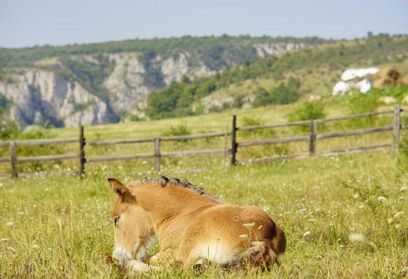 فندق Pensiunea Cheile Apusenilor