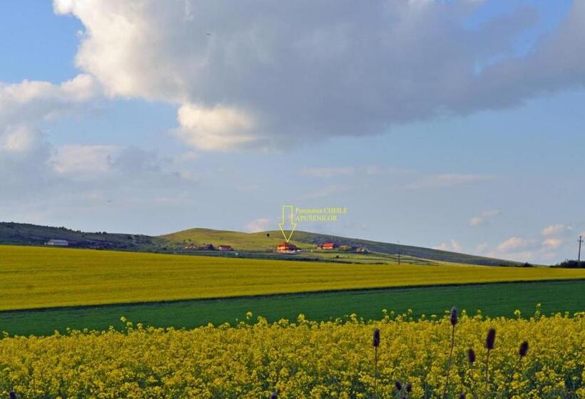 فندق Pensiunea Cheile Apusenilor