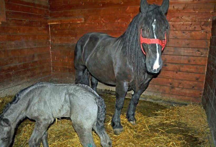 فندق Pensiunea Cheile Apusenilor