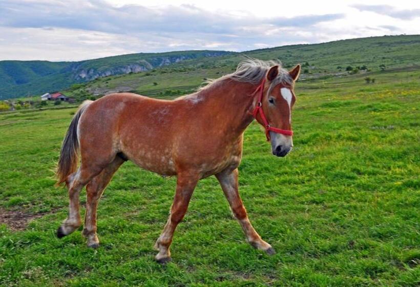 فندق Pensiunea Cheile Apusenilor
