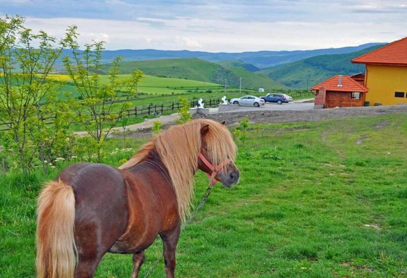 فندق Pensiunea Cheile Apusenilor