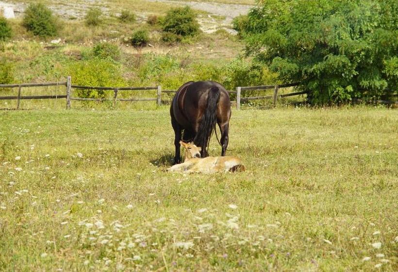 فندق Pensiunea Cheile Apusenilor