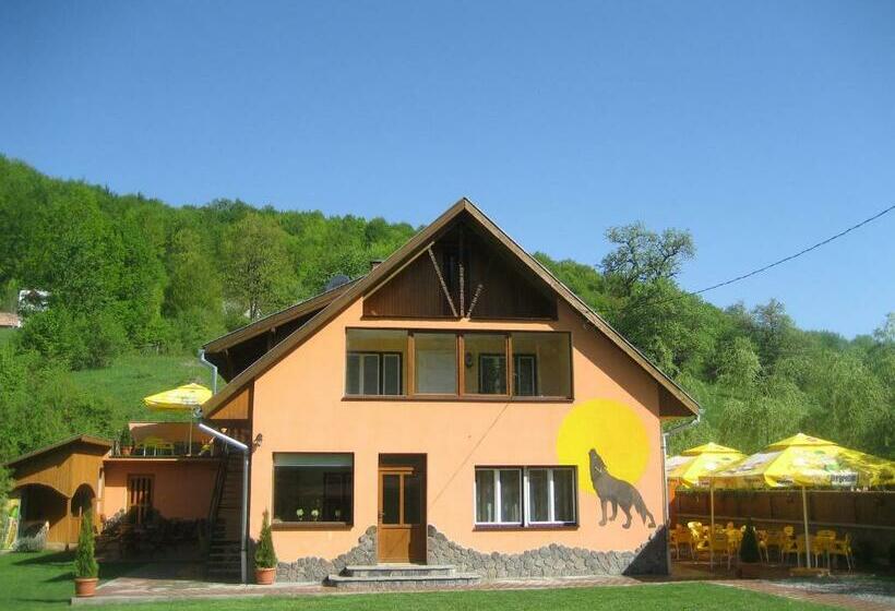 בית מלון כפרי Pensiunea Colt Alb