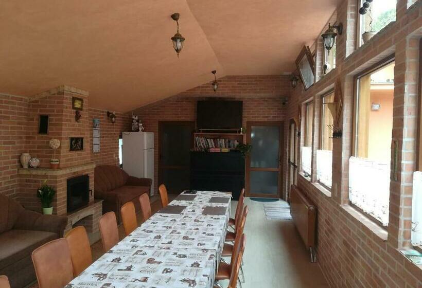 בית מלון כפרי Pensiunea Colt Alb