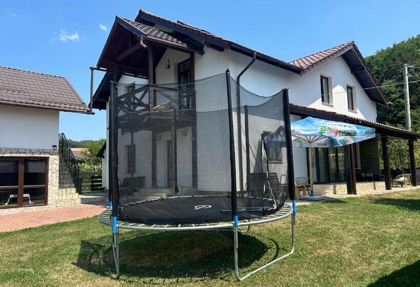 Отель Pensiunea Eden