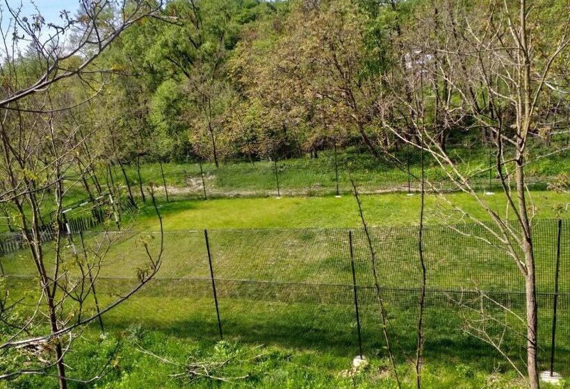 Отель Pensiunea Eden