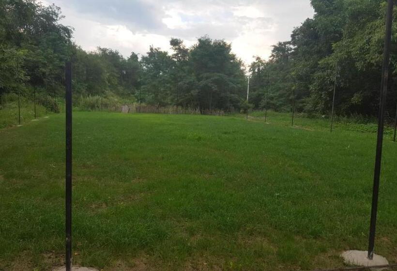 Отель Pensiunea Eden