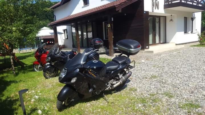 Отель Pensiunea Eden