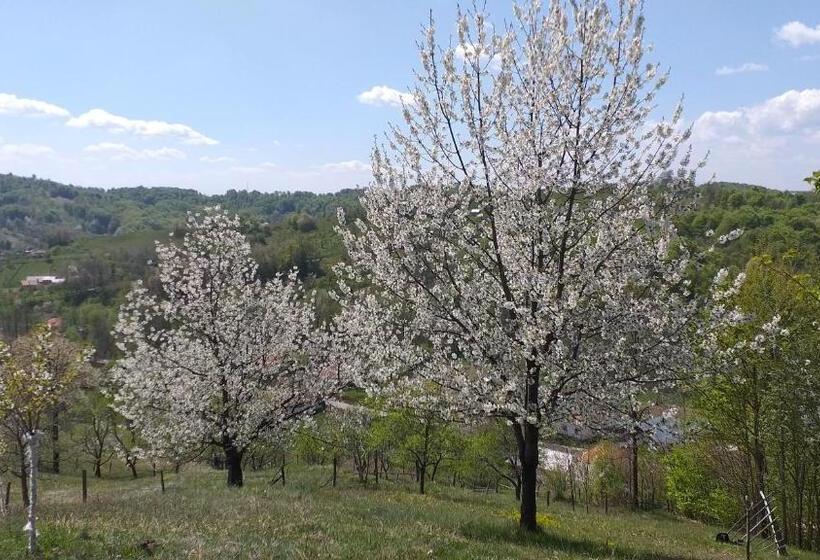 Отель Pensiunea Eden