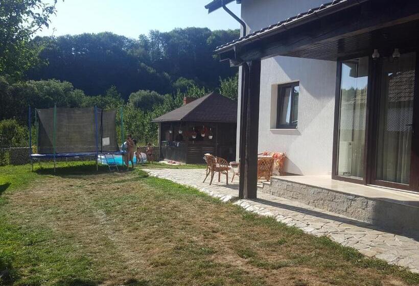 Отель Pensiunea Eden