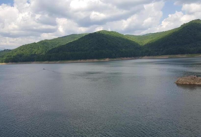 Отель Pensiunea Eden