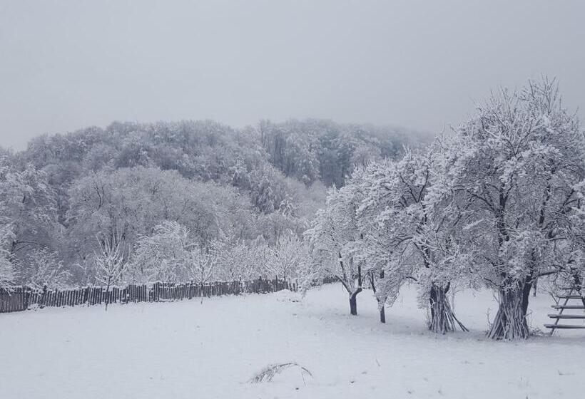 Отель Pensiunea Eden