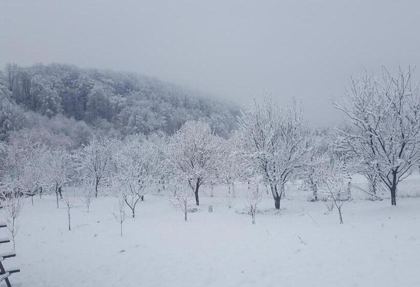 Отель Pensiunea Eden