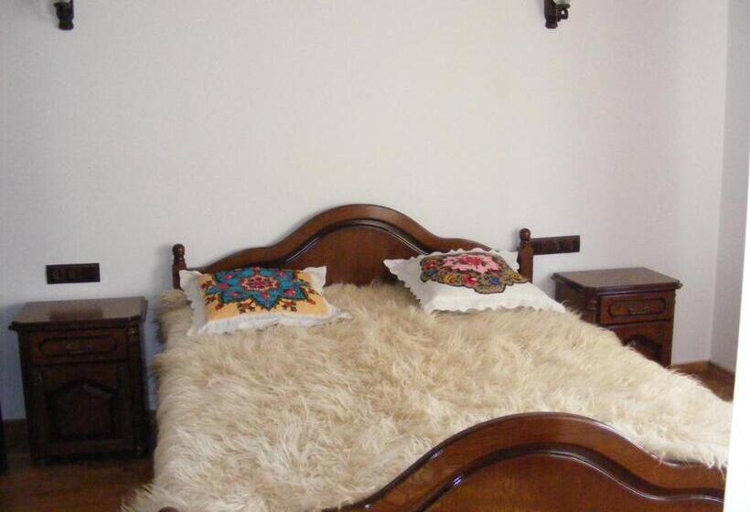 酒店 Pensiunea Sanziene