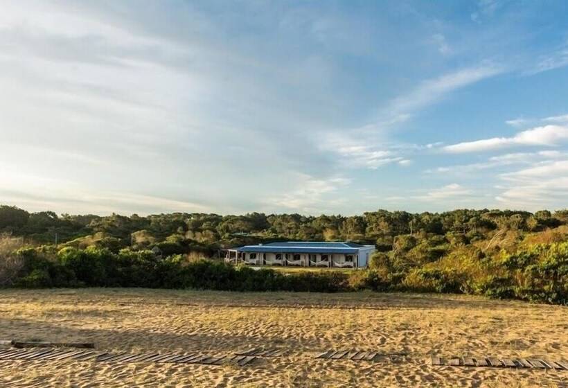 Отель Posada Buscavida