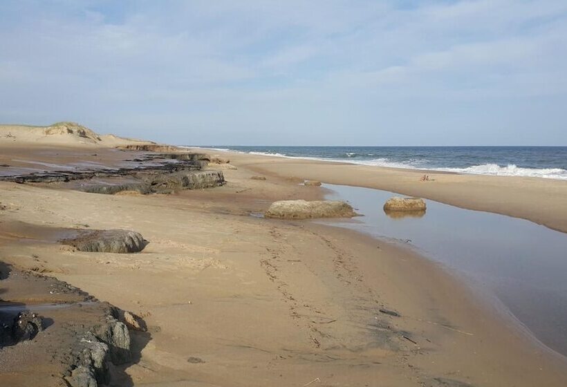 Отель Posada Buscavida