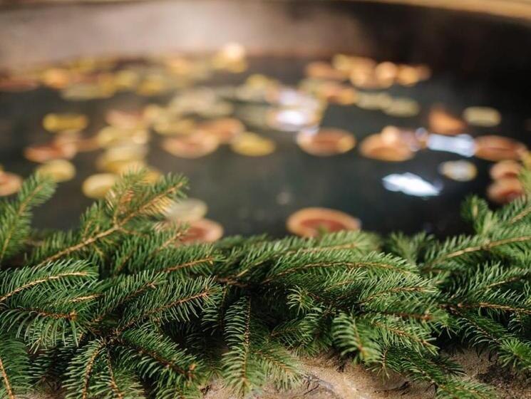 Отель Recreation Complex Volnogora