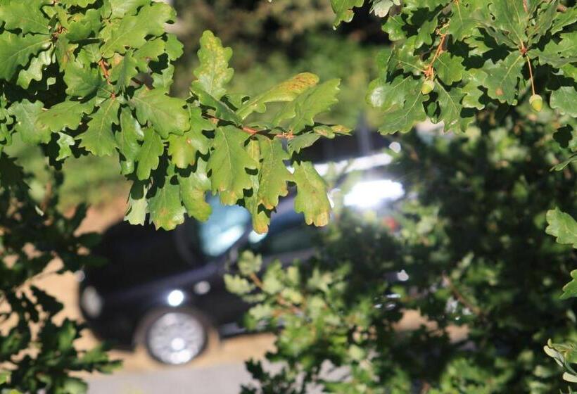 酒店 Retiro Da Arminda