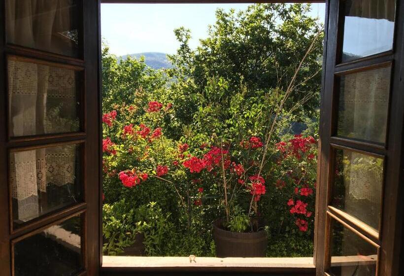 酒店 Retiro Da Arminda