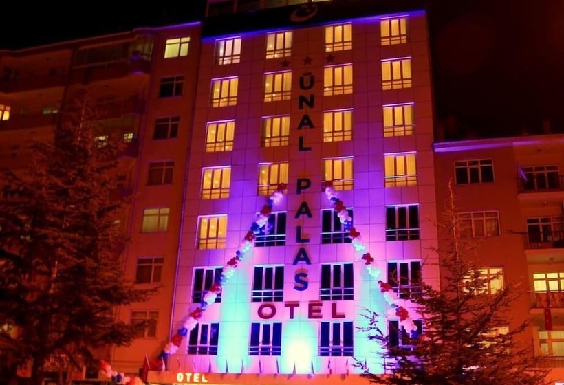 هتل Unal Palas
