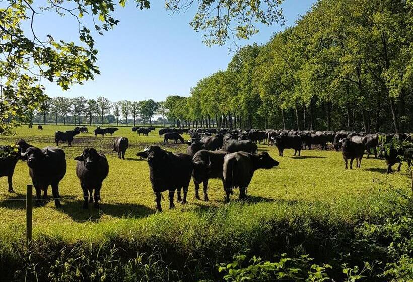 Отель Vakantiepark Camping De Peelpoort