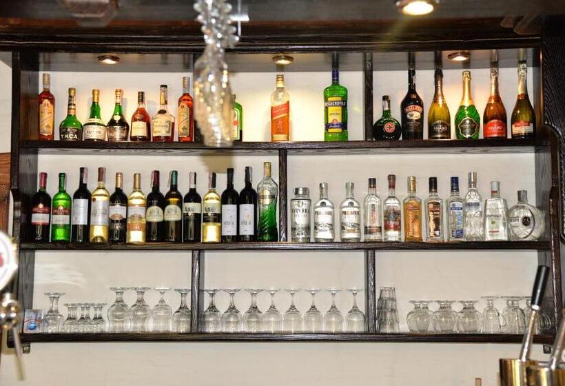 מוטל Syni Potoky