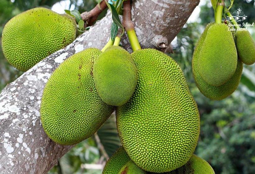 Munroe Island Lake Resort