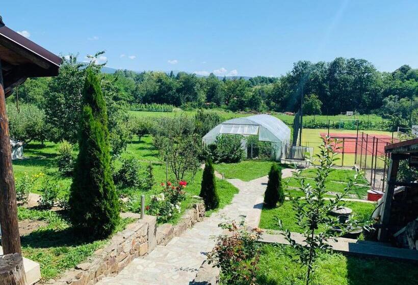 ペンション Alex & Maria