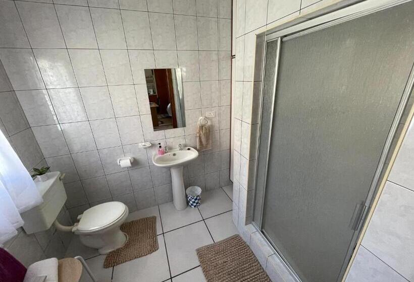 ペンション Altenburgh Accommodation   Apartments