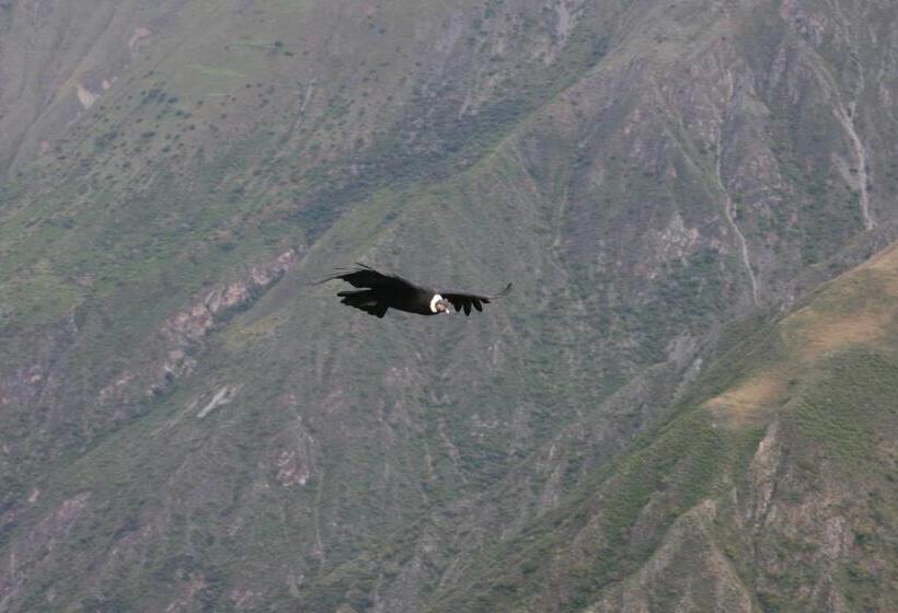 پانسیون Andean Spirit Lodge