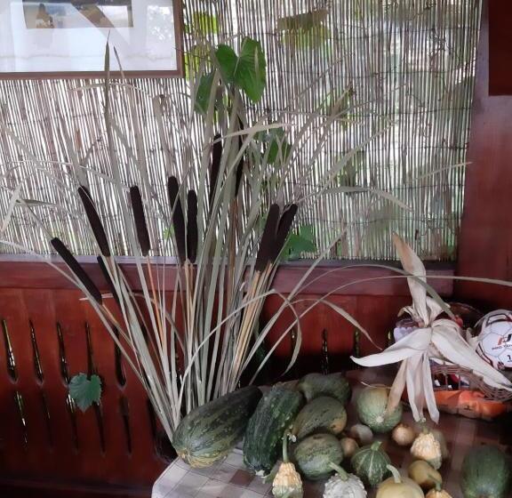 פנסיון Becze Vanda Kulcsosház