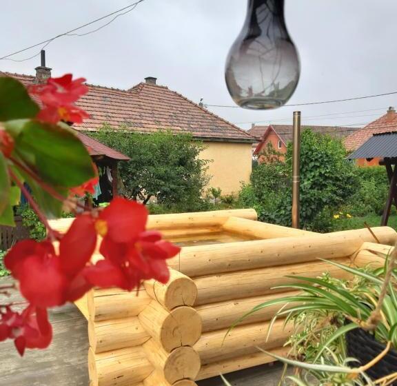 פנסיון Becze Vanda Kulcsosház