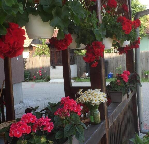 פנסיון Becze Vanda Kulcsosház