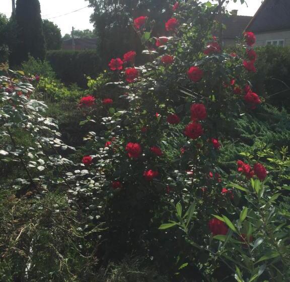 פנסיון Becze Vanda Kulcsosház