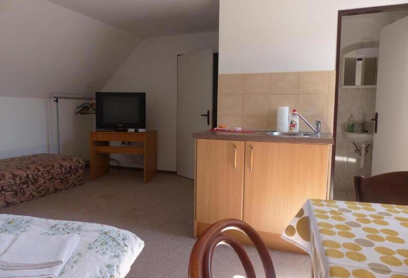 بنسيون Bizoní Dvůr