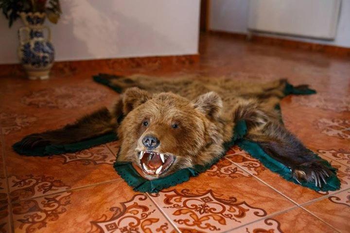 بنسيون Cabana Cerbul Oasa Transalpina