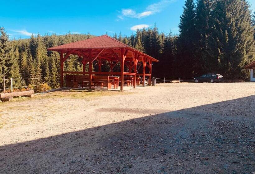 بنسيون Cabana Cerbul Oasa Transalpina