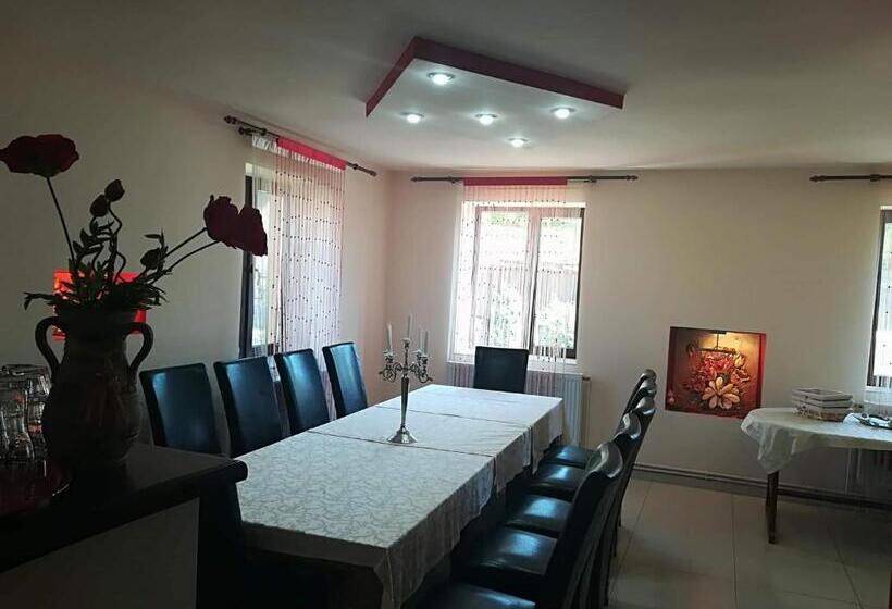 بنسيون Casa De Vacanta Silvia Varmaga