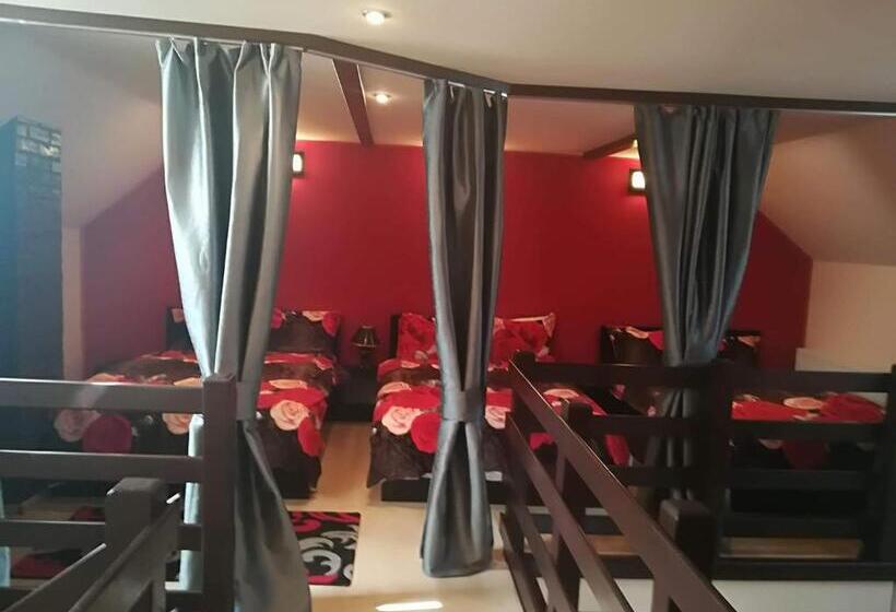 بنسيون Casa De Vacanta Silvia Varmaga