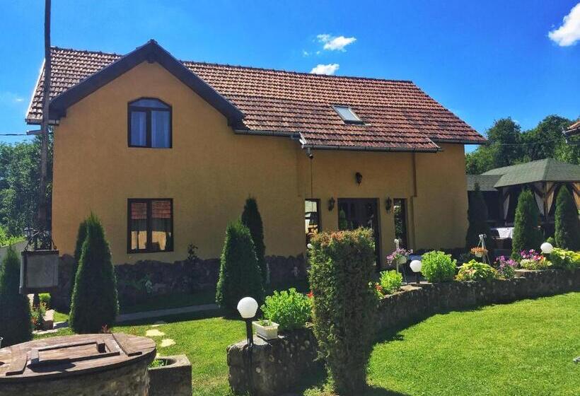 بنسيون Casa De Vacanta Silvia Varmaga