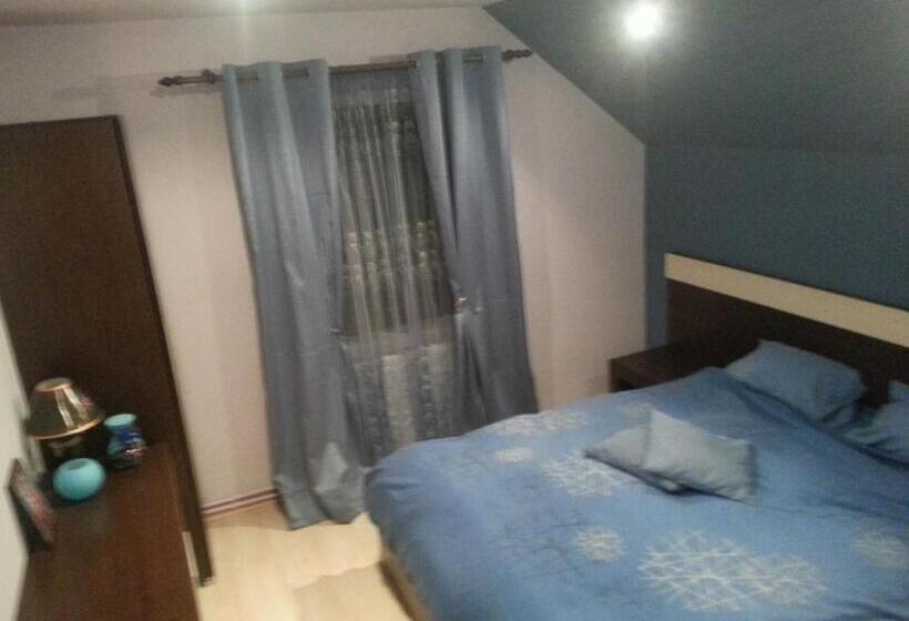 بنسيون Casa De Vacanta Silvia Varmaga