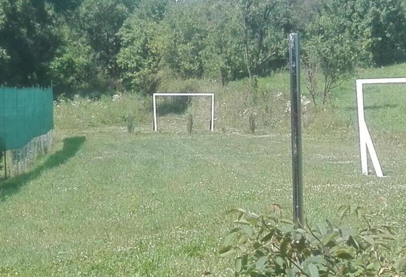 بنسيون Casa De Vacanta Silvia Varmaga