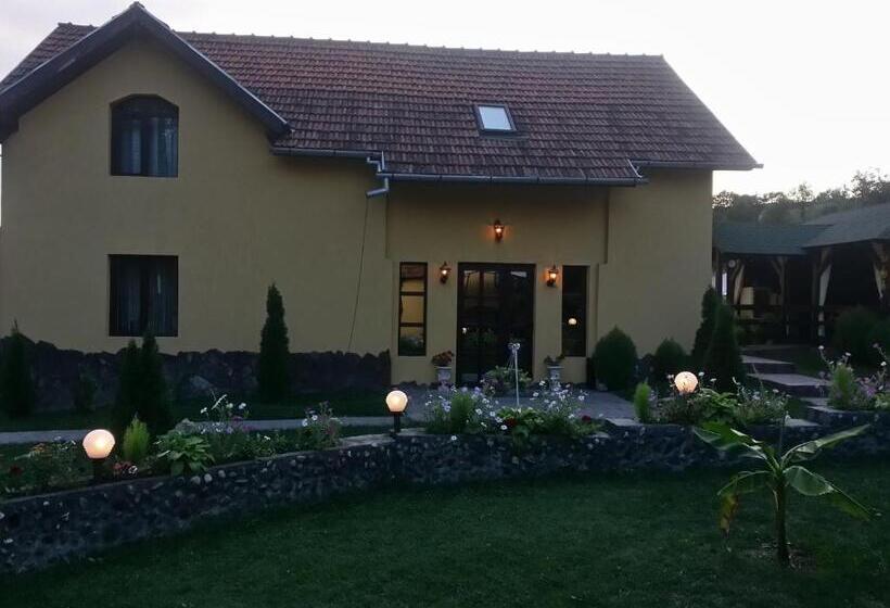 بنسيون Casa De Vacanta Silvia Varmaga