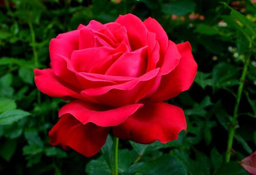 膳宿费 Casa Lorena