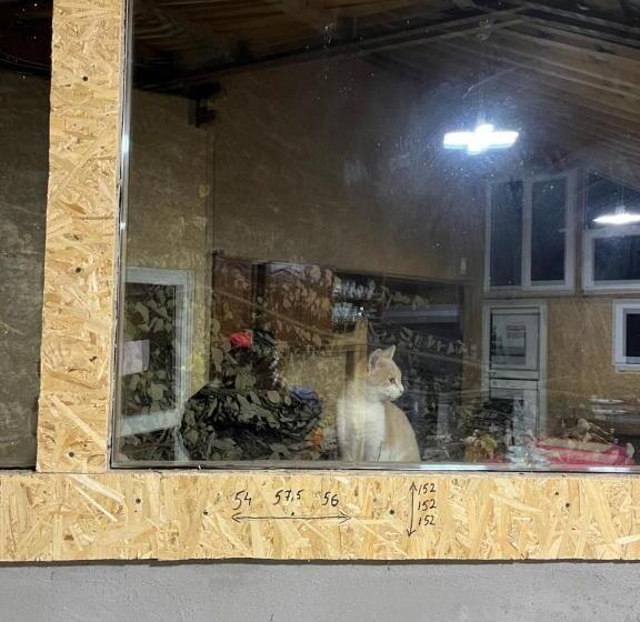 ペンション Casa Lorena